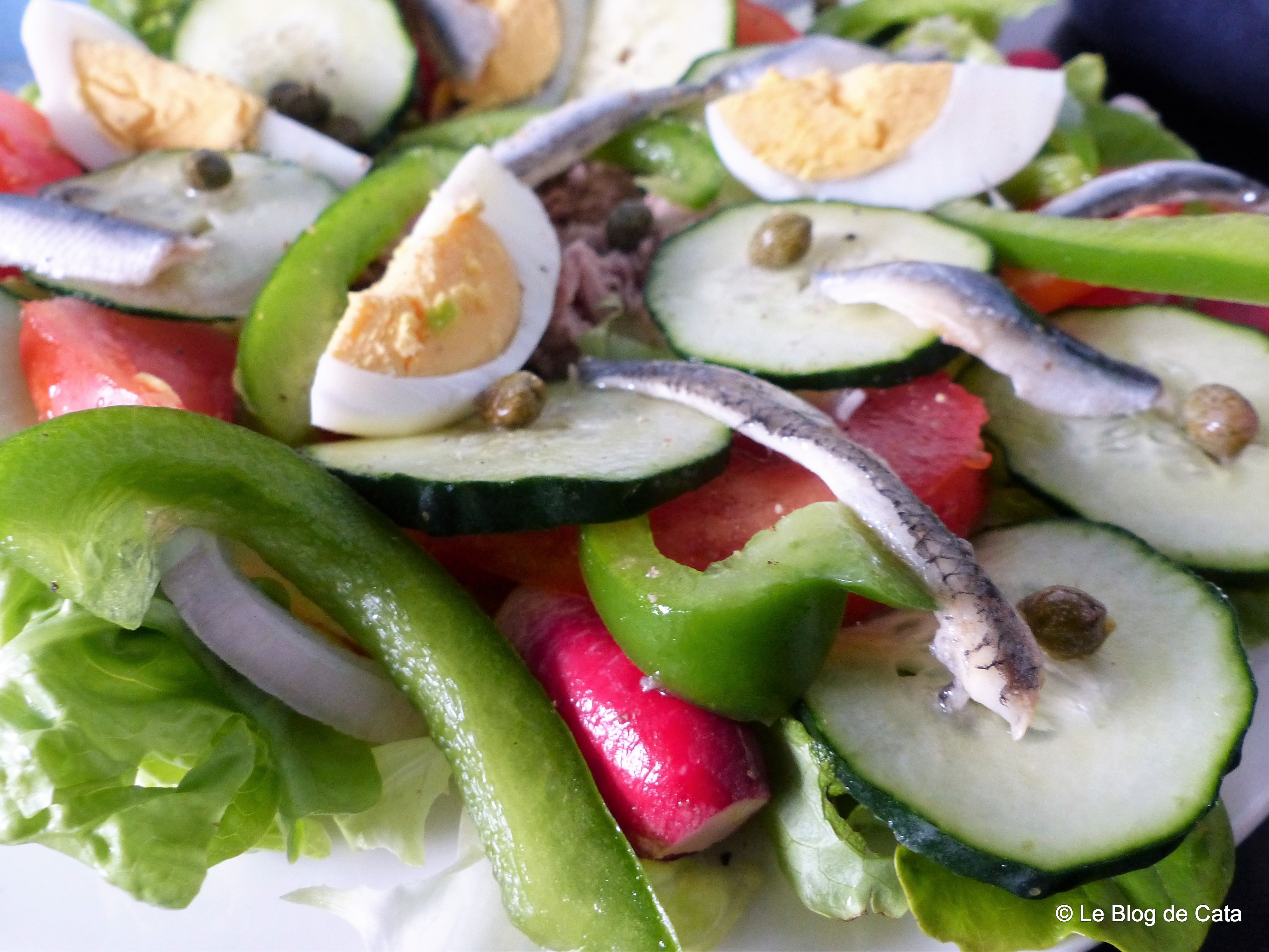 Salata Niçoise