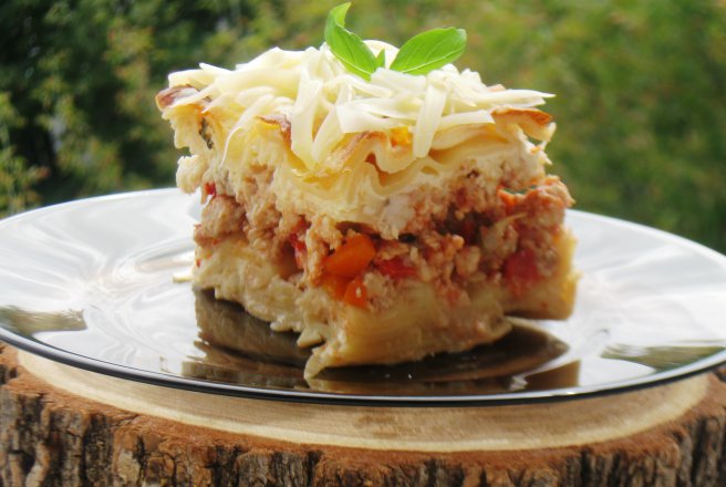 Lasagna cu ciuperci si piept de pui