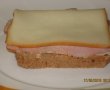 Sandwich turnulet-5