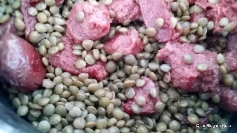 Salata de linte, pipote de rata confiate si varza pak choy
