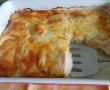 Gratin de piept de pui-11