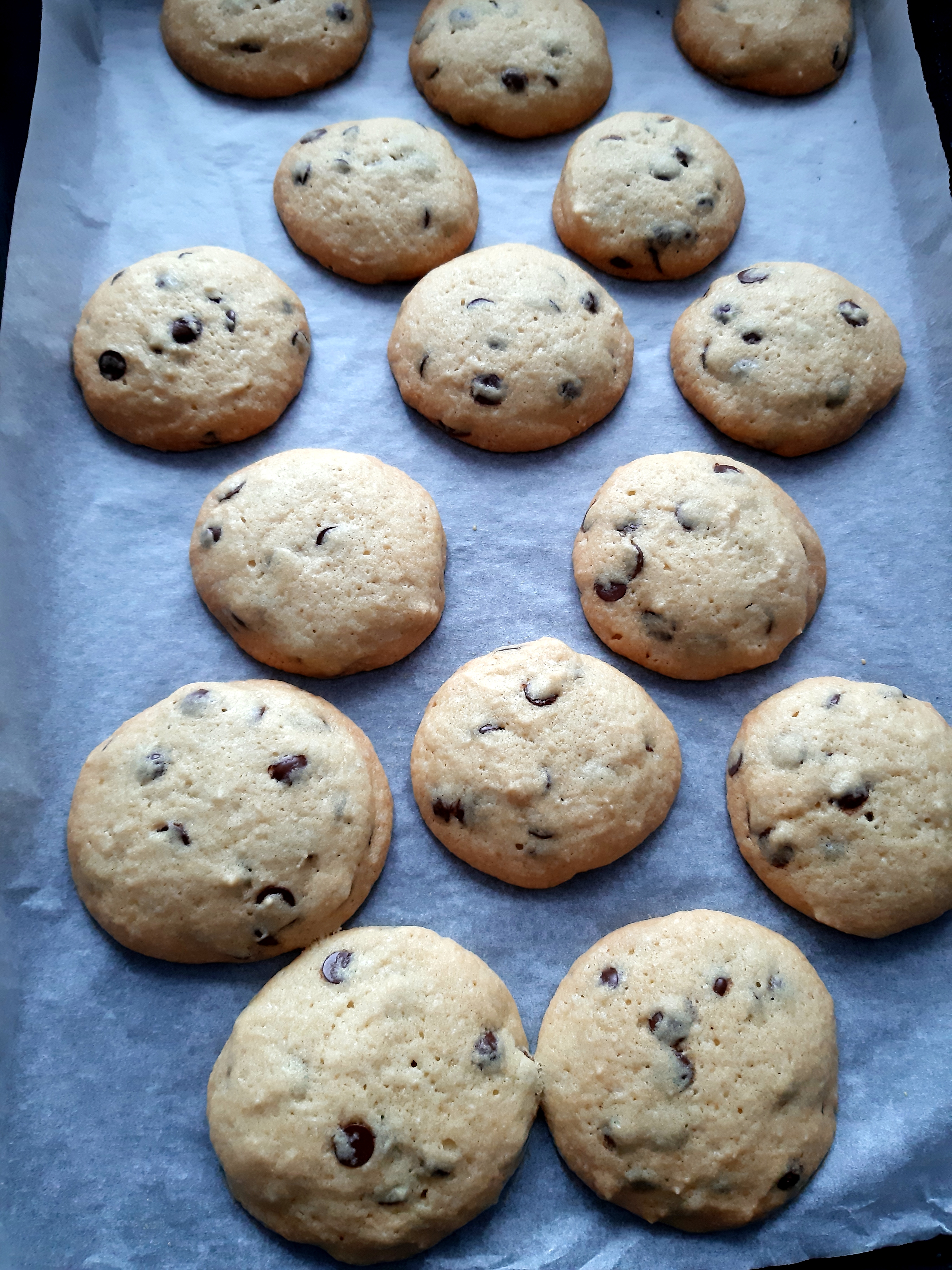 Desert American chocolate chip cookies