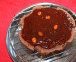 Desert tort Sacher-13