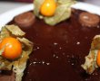 Desert tort Sacher-17