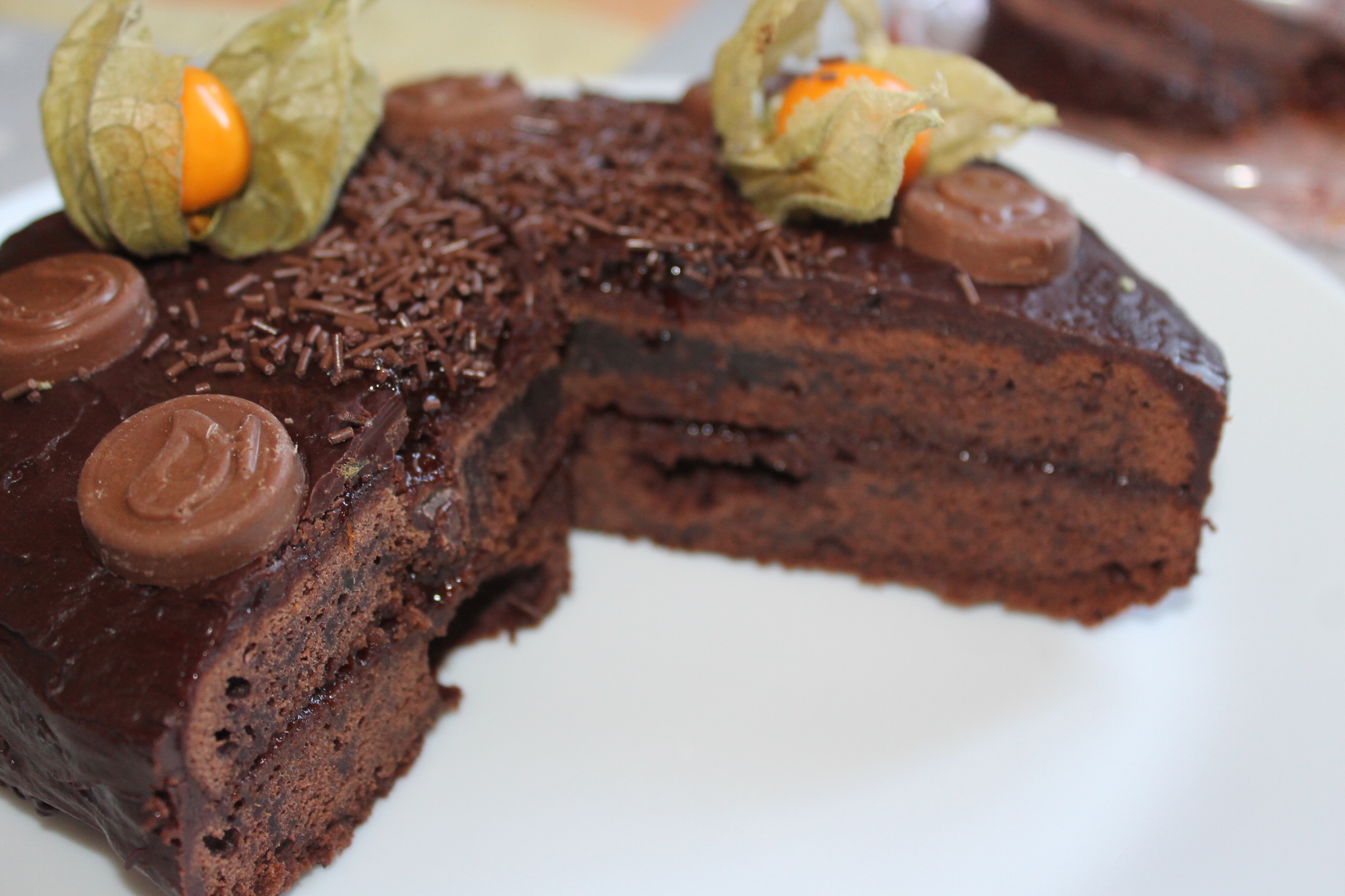 Desert tort Sacher