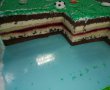 Desert tort teren de fotbal-8