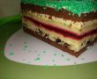 Desert tort teren de fotbal-22