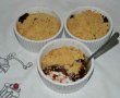 Desert crumble cu prune-14