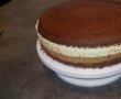 Desert tort cu mousse si jeleu de zmeura-14