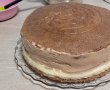 Desert tort Jaffa-17