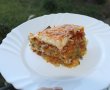 Lasagna speciala-16