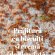 Prăjitură cu cremă de ciocolată și biscuiți - Rețeta delicioasă fără coacere